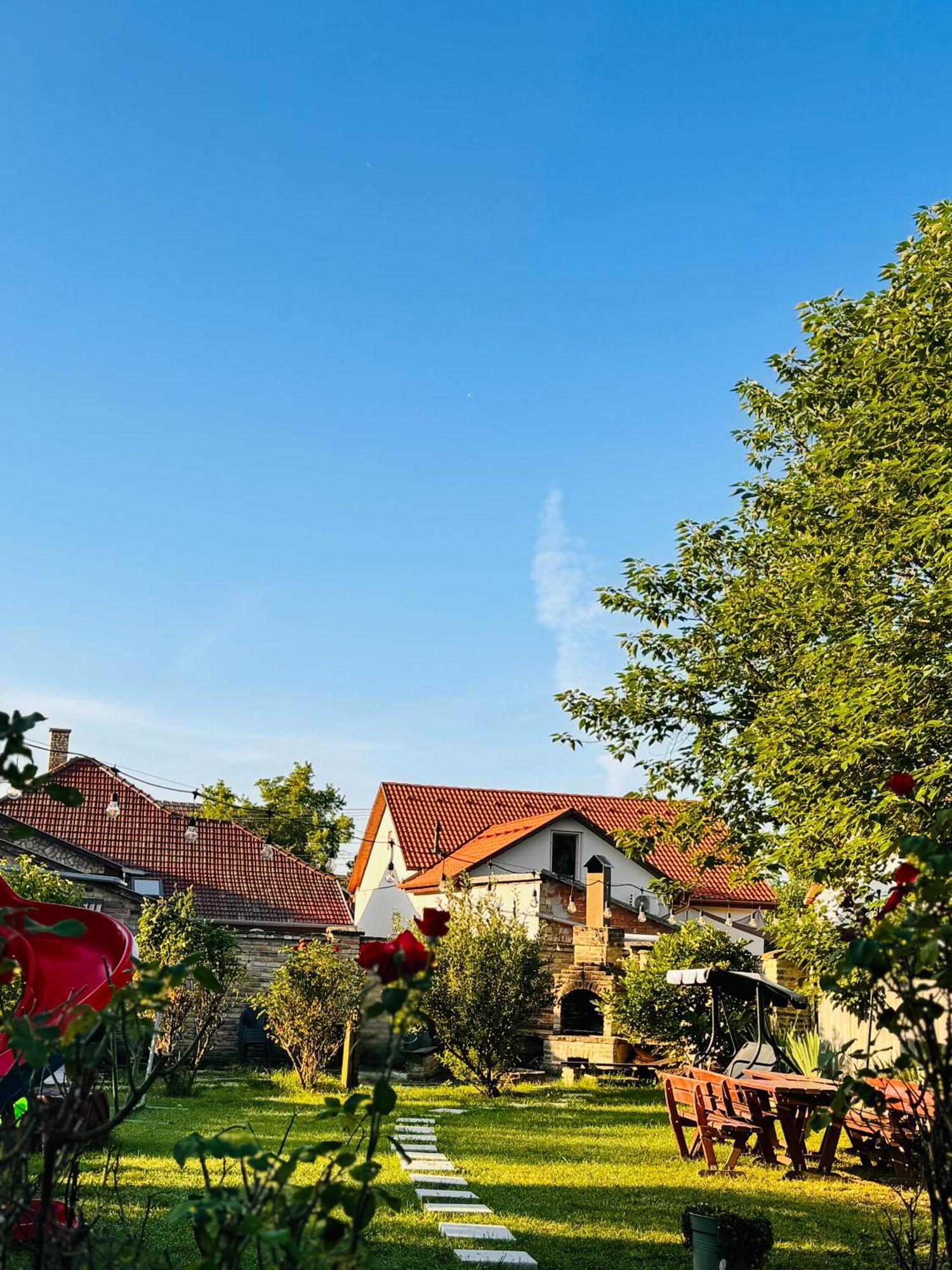 Pensiunea Schwartzy Otel Makó Dış mekan fotoğraf