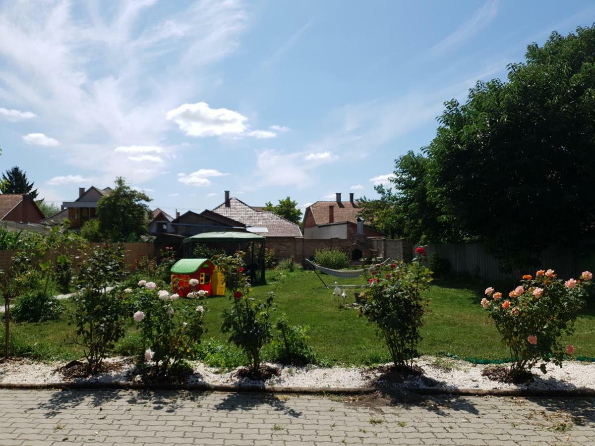 Pensiunea Schwartzy Otel Makó Dış mekan fotoğraf